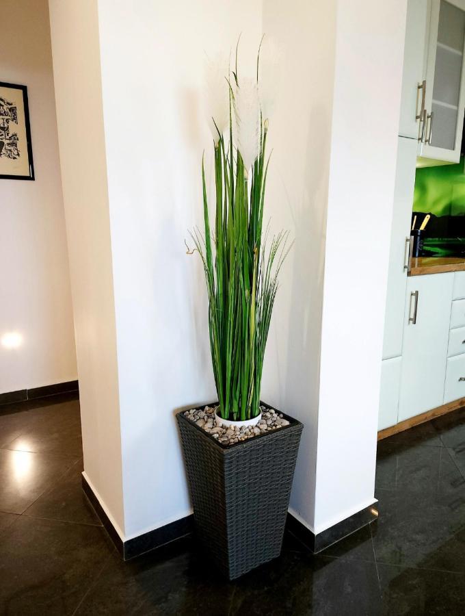 Luxury Apartment Aurora - Cod 0409 Opatija Luaran gambar